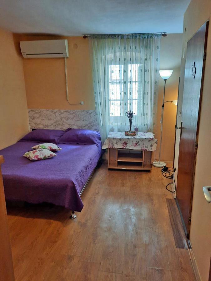 Apartment Surya ロゴズニッツァ エクステリア 写真