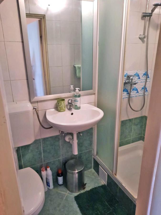 Apartment Surya ロゴズニッツァ エクステリア 写真
