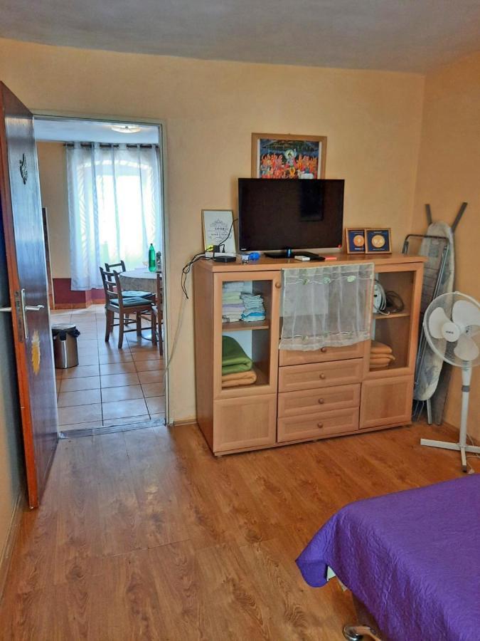 Apartment Surya ロゴズニッツァ エクステリア 写真